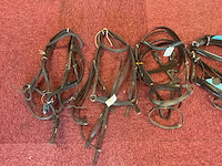 Hoofdstellen (5x) - afbeelding 2 van  4