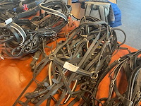 Hoofdstellen (5x) - afbeelding 4 van  4