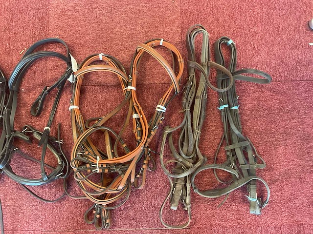 Hoofdstellen (6x) - afbeelding 3 van  4