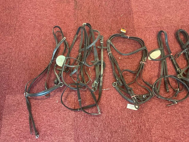 Hoofdstellen (7x) - afbeelding 2 van  4