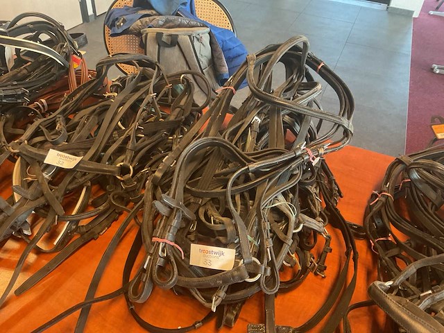 Hoofdstellen (7x) - afbeelding 4 van  4