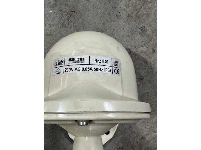 Hoorn grothe, 640 - afbeelding 2 van  2