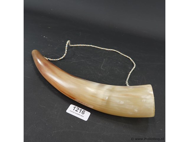 Hoorn - afbeelding 1 van  5