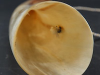 Hoorn - afbeelding 2 van  5