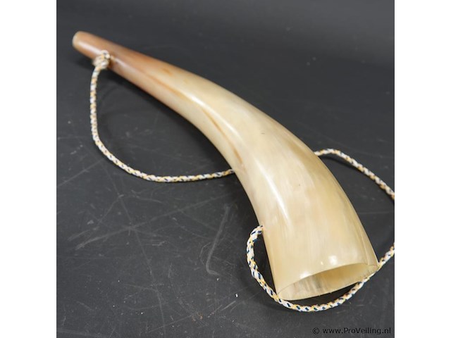 Hoorn - afbeelding 5 van  5