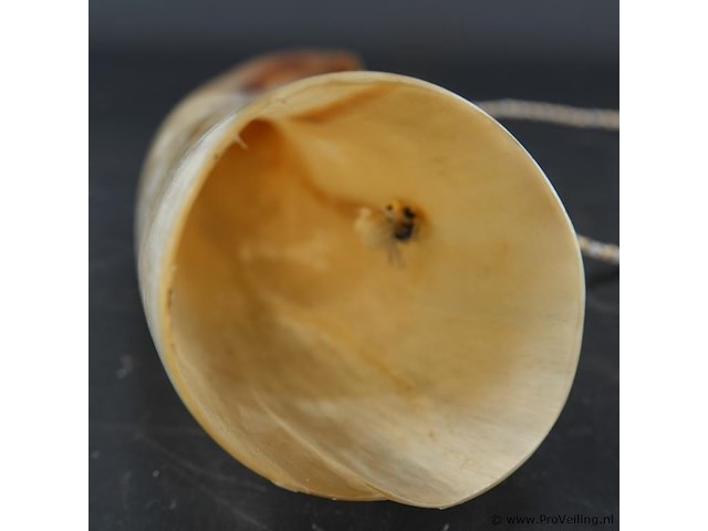 Hoorn - afbeelding 2 van  5