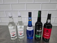 Hopking, bols, etc. sterke drank fles (5x) - afbeelding 1 van  3