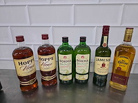 Hoppe, bokma, jason, etc. sterke drank fles (6x) - afbeelding 1 van  3