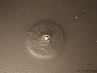 Horeca tafel met gietijzeren onderstel - afbeelding 5 van  5