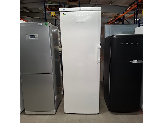 Horeca vriezer no frost, liebherr a+++, gnp4166 - afbeelding 1 van  7