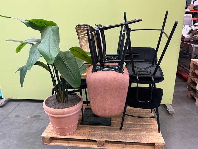 Horeca - afbeelding 1 van  10