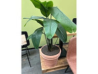 Horeca - afbeelding 9 van  10