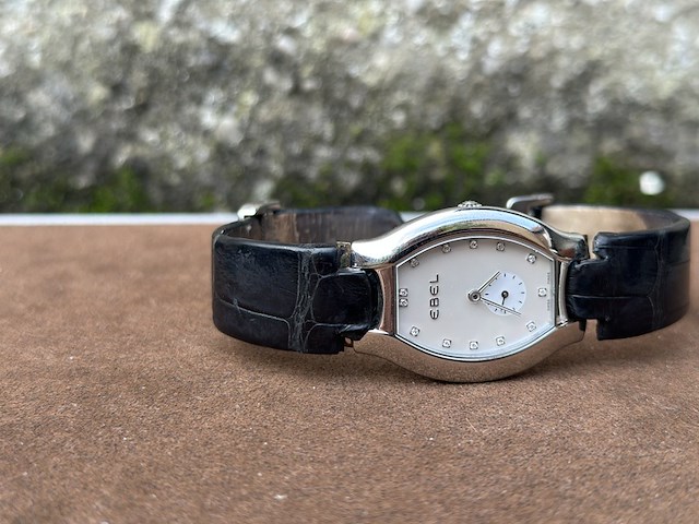 Horloge ebel, beluga, staal - afbeelding 5 van  8