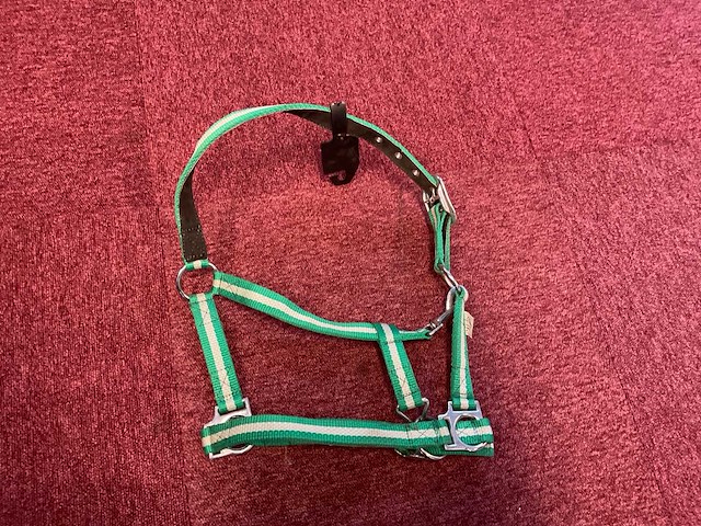 Horse harmony halsters (6x) - afbeelding 1 van  1