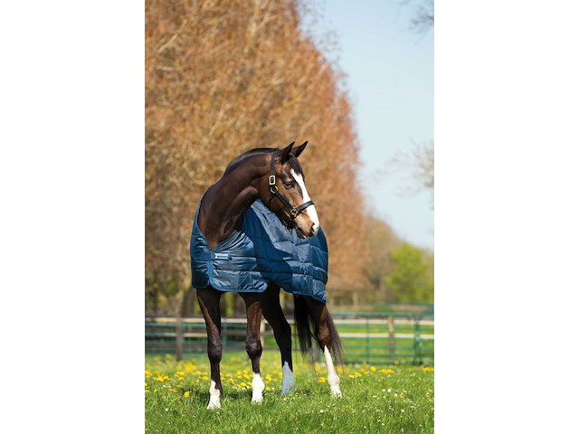 Horseware 155/206cm - 100g abad61-bb00-81 liner - afbeelding 2 van  6