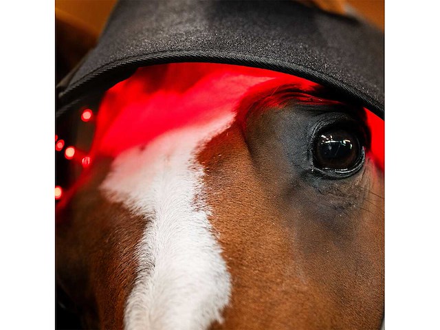 Horseware fu tlhnt1-kk00-fu led rood licht therapie poll cap - afbeelding 3 van  7