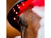 Horseware fu tlhnt1-kk00-fu led rood licht therapie poll cap - afbeelding 4 van  7