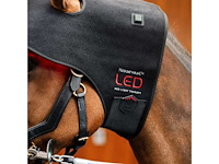 Horseware fu tlhnt1-kk00-fu led rood licht therapie poll cap - afbeelding 2 van  7