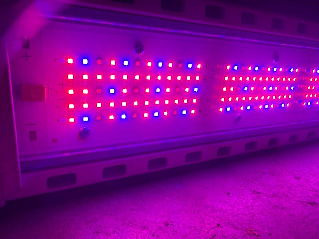 Hortilux hortiled top 120v19 belichtingsmateriaal (13x) - afbeelding 6 van  11