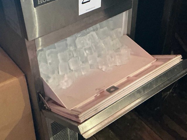 Hoshizaki ijsblokjesmachine en santos icecrusher - afbeelding 2 van  3