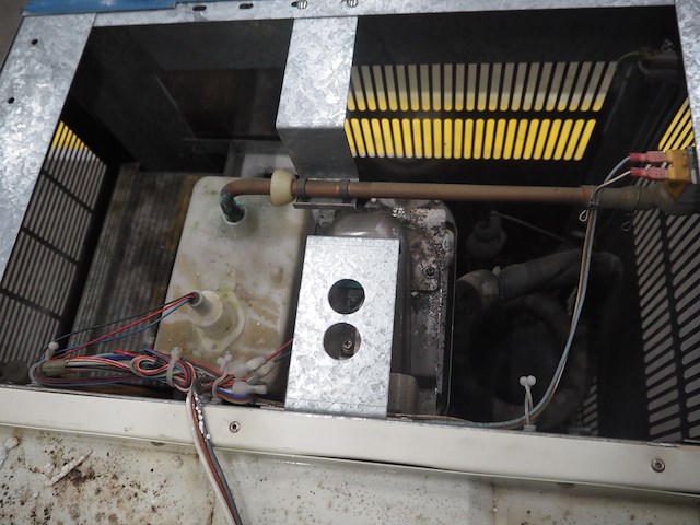 Hoshizaki - afbeelding 8 van  9