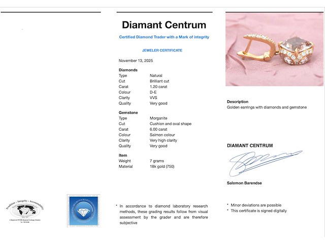 House of pertijs rosegouden oorbellen met diamant en edelsteen - afbeelding 4 van  10