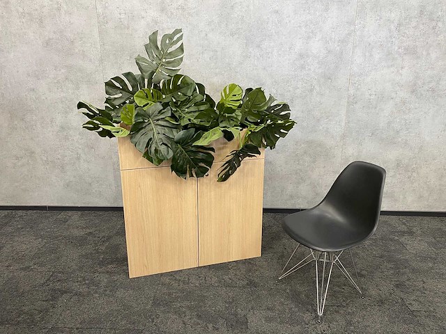 Houten 2-deurs kast met plantenbak - ongebruikt - afbeelding 1 van  10