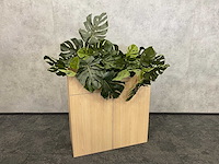 Houten 2-deurs kast met plantenbak - ongebruikt - afbeelding 3 van  10