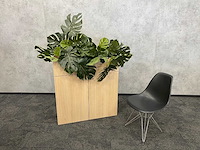 Houten 2-deurs kast met plantenbak - ongebruikt - afbeelding 1 van  10