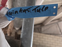 Houten containerombouw en tuinkast - afbeelding 5 van  5