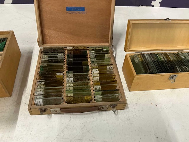 Houten kist met glas voorbeelden (4x) - afbeelding 4 van  5