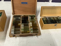 Houten kist met glas voorbeelden (4x) - afbeelding 4 van  5