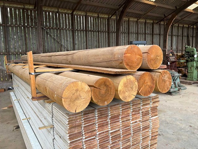 Houten palen 5000xø195mm (7x) - afbeelding 2 van  3