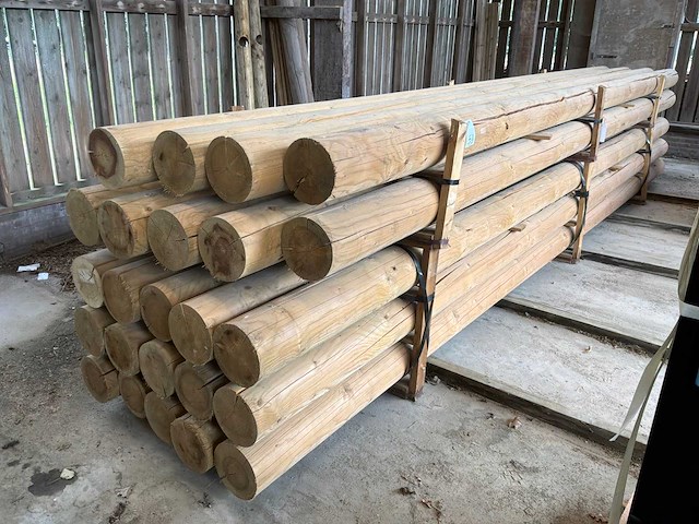 Houten palen 6000xø195mm (24x) - afbeelding 1 van  4