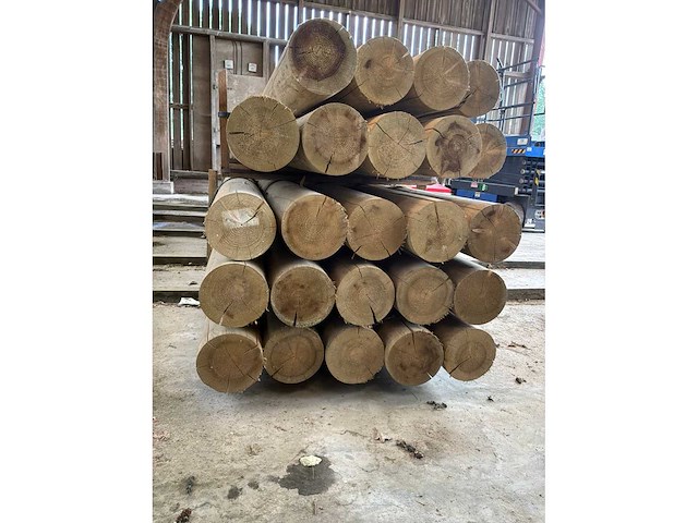 Houten palen 6000xø195mm (24x) - afbeelding 3 van  4
