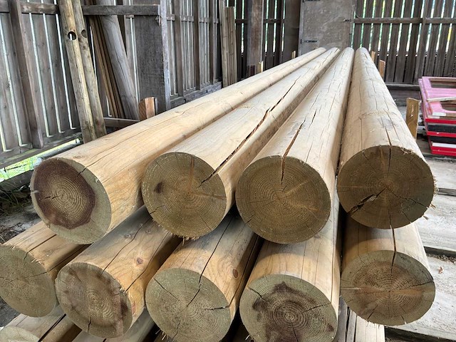 Houten palen 6000xø195mm (24x) - afbeelding 4 van  4