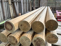 Houten palen 6000xø195mm (24x) - afbeelding 4 van  4