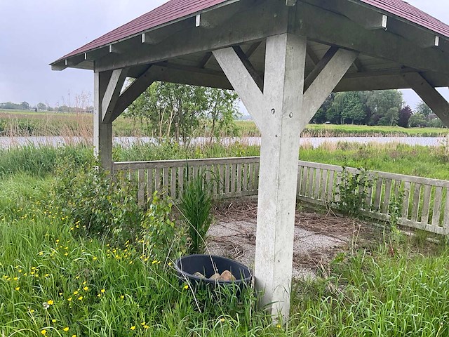 Houten pergola - afbeelding 11 van  15
