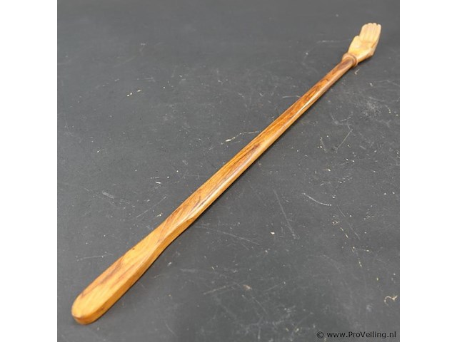 Houten ruggekrabber - afbeelding 3 van  5