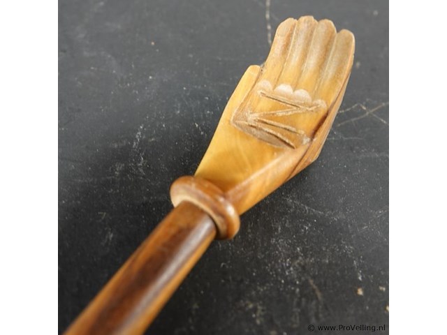 Houten ruggekrabber - afbeelding 4 van  5