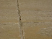 Houten werktafel - afbeelding 6 van  6