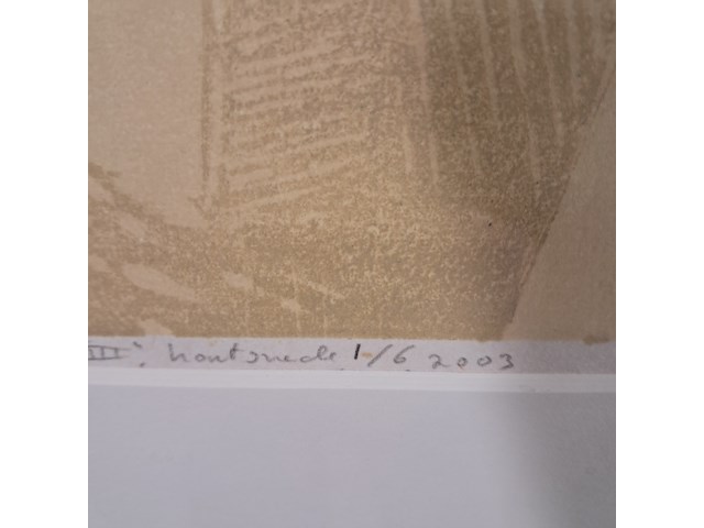 Houtsnede, saskia zuidam, leemhuizen iii - afbeelding 8 van  11