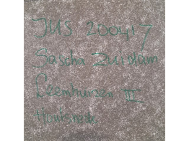 Houtsnede, saskia zuidam, leemhuizen iii - afbeelding 11 van  11