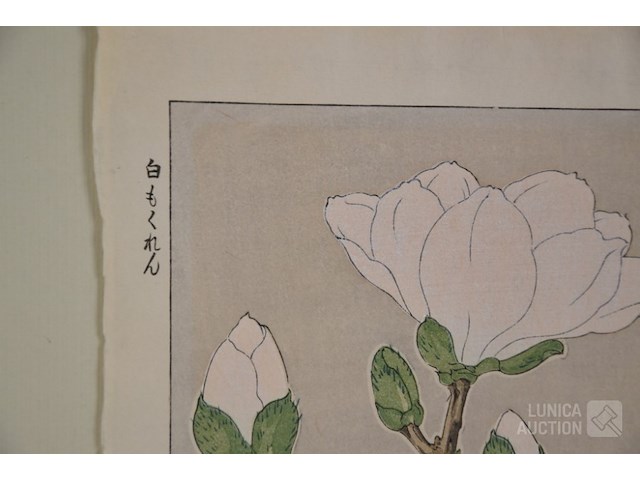 Houtsnede - afbeelding 4 van  5