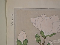 Houtsnede - afbeelding 4 van  5