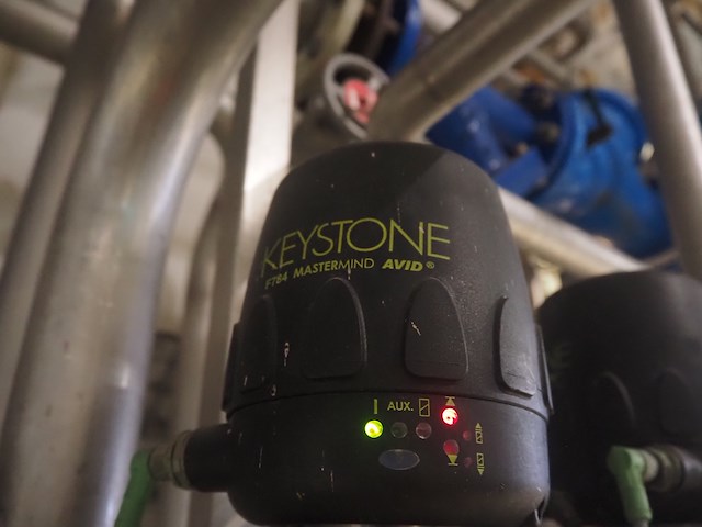 Hovap - afbeelding 5 van  8