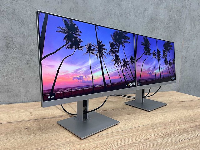 Hp - 2x 23" monitor op voet - hdmi, dp, vga - afbeelding 10 van  17