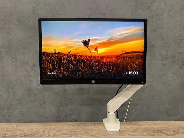 Hp e240 - 24" monitor met monitorarm - dp, hdmi, vga - afbeelding 1 van  10