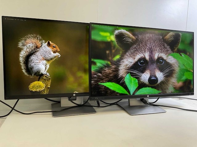 Hp (z27n) 27”, 2560x1440 (qhd) ips monitors (2x) - afbeelding 2 van  7