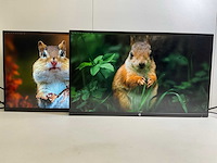 Hp (z27n) 27”, 2560x1440 (qhd) ips monitors (2x) - afbeelding 1 van  7